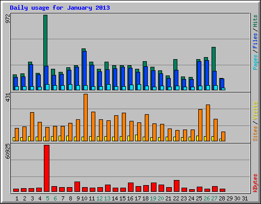 Daily usage for January 2013