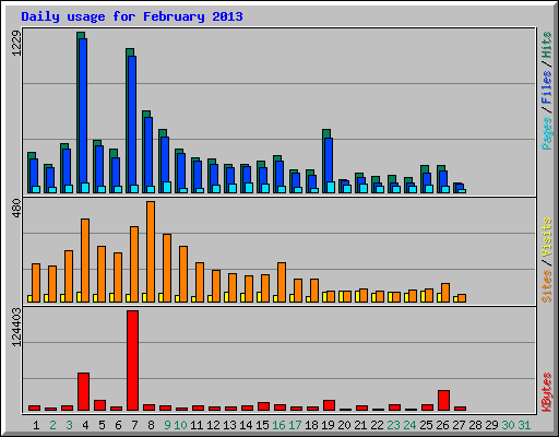 Daily usage for February 2013