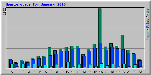 Hourly usage for January 2013